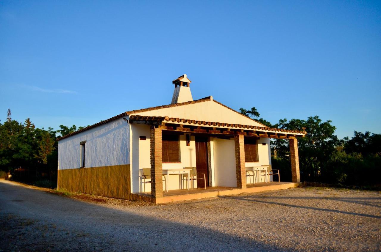 Cortijo Mesa De La Plata Guest House Arcos de la Frontera Exterior foto